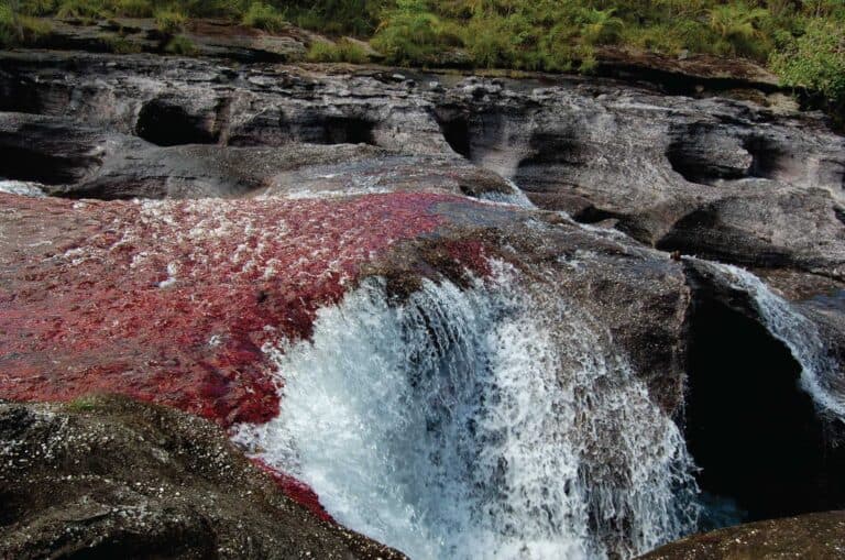 Caño Cristales river Colombia tours