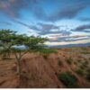 Tatacoa Desert stargazing tour