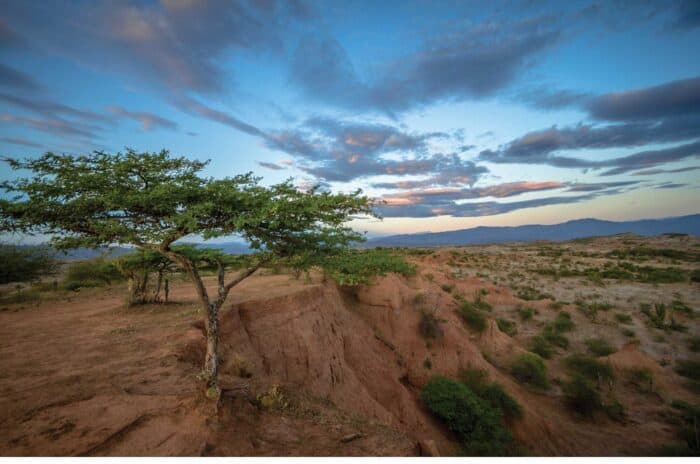 Tatacoa Desert stargazing tour