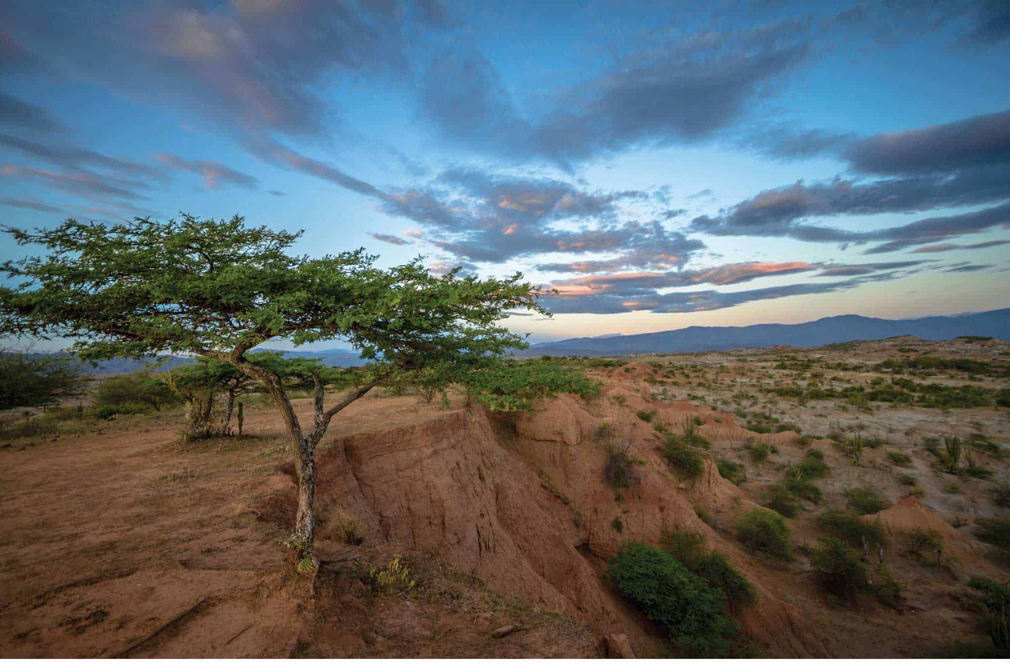 Tatacoa Desert tour half day