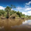 Amazonas Colombia tours