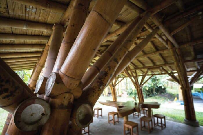 bambu-guadua-secondary-image-3 Paraiso del Bambu y la Guadua