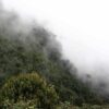 Parque Chicaque