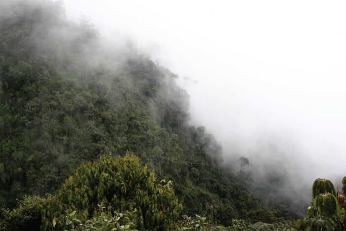 Parque Chicaque