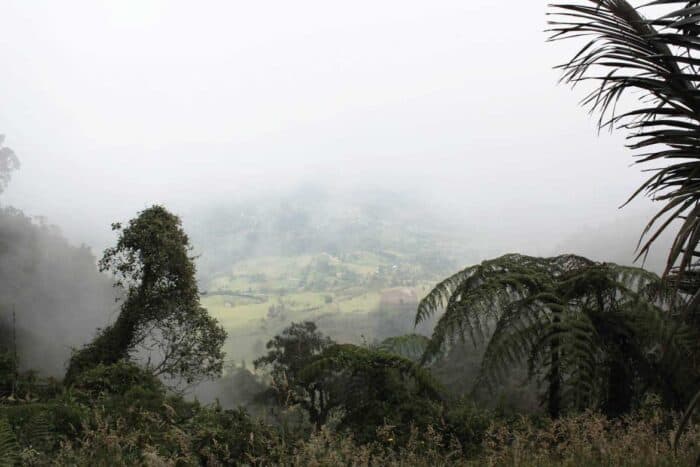 Parque Chicaque