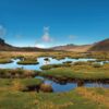 Cocora & Los Nevados 3-day treks bookings