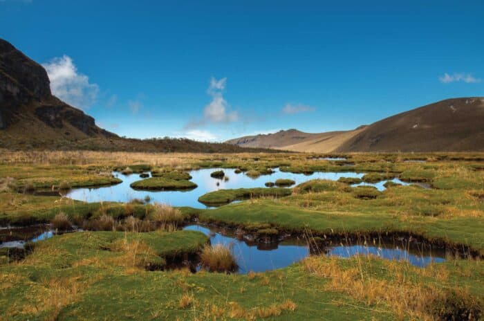 Cocora & Los Nevados 3-day treks bookings