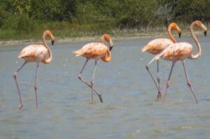 Guajira desert tours