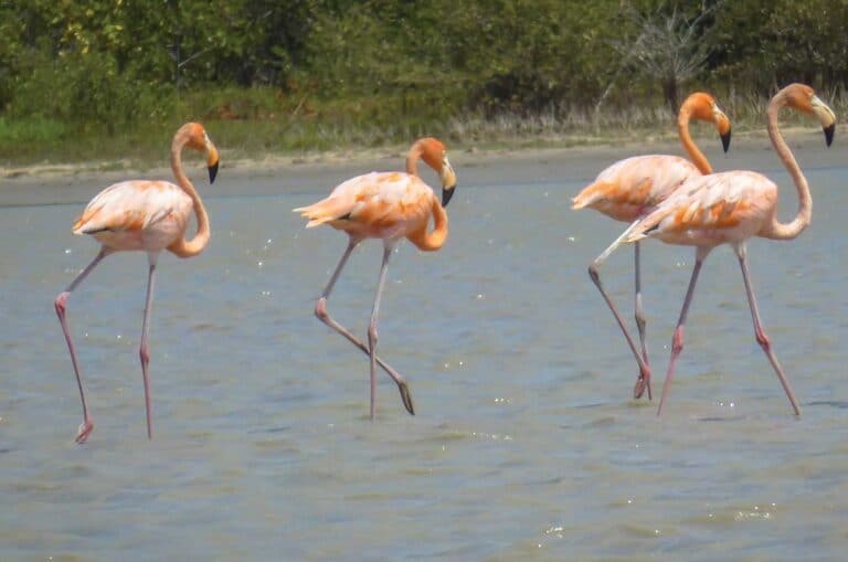 Guajira desert tours