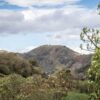Volcán Puracé full day tour