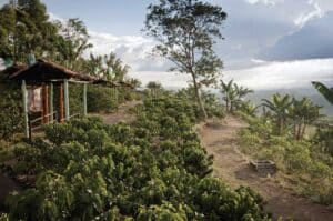 Recuca Colombia