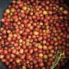 Colombian coffee at Recuca