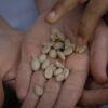 Recuca Colombia