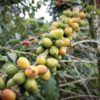 Recuca Colombia