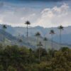 Cocora Valley Colombia