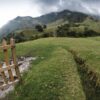 Cocora Valley Colombia