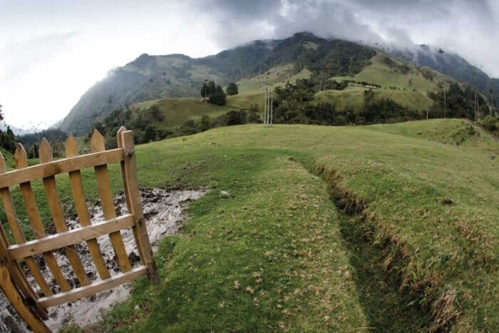 Cocora Valley Colombia