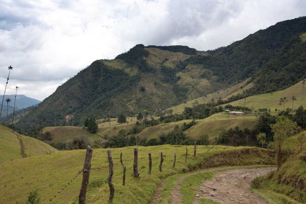 Cocora Valley Colombia