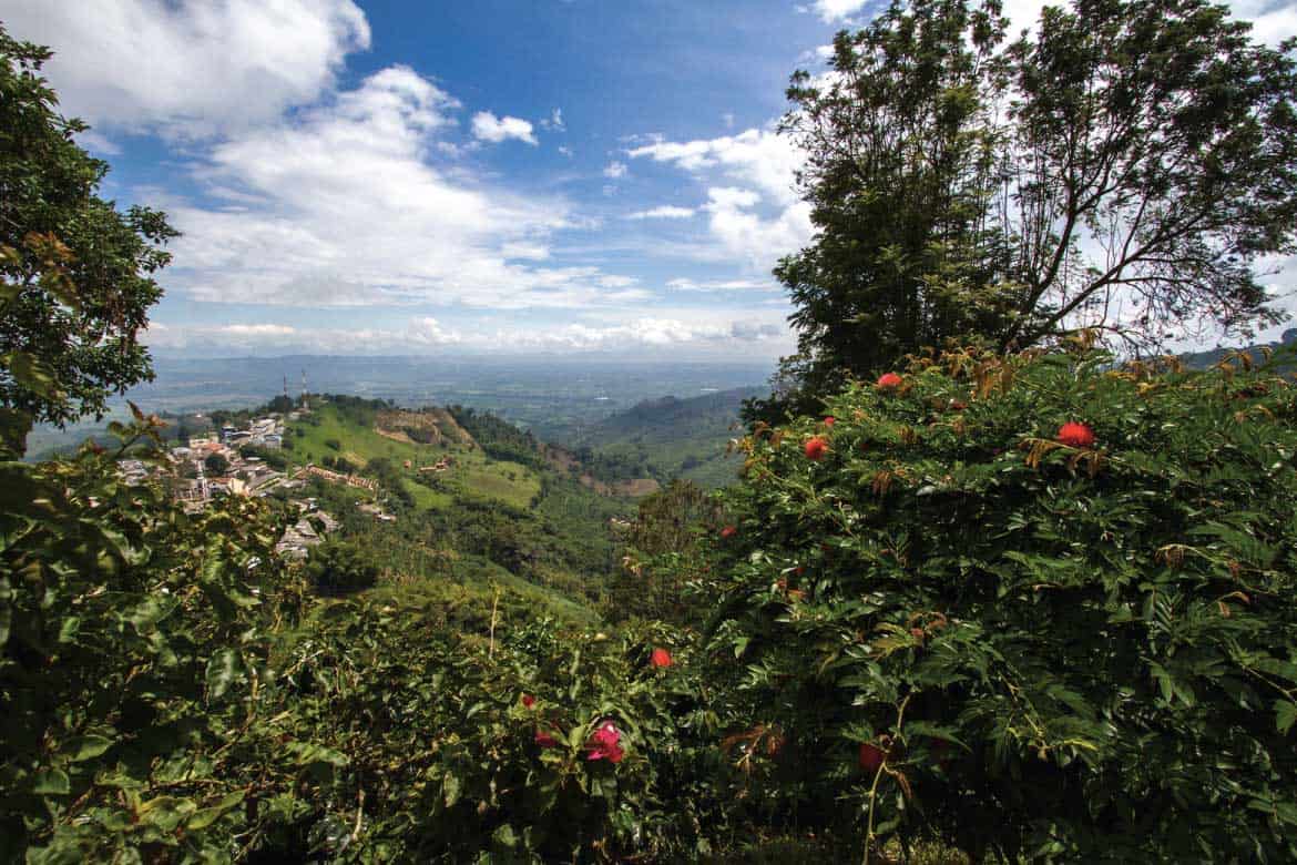 San Alberto coffee tour half day