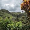 Tierradentro Colombia archaeology tour
