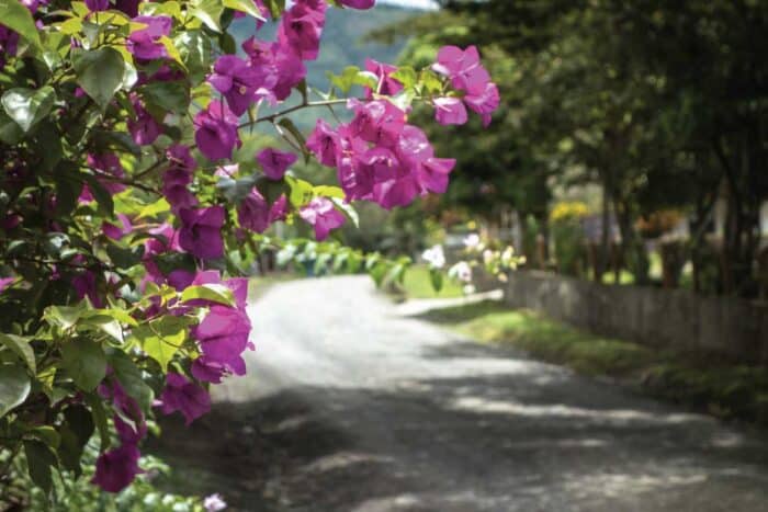 Tierradentro Colombia archaeology tour