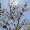 Camino Real Barichara to Guane hiking