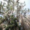 Camino Real Barichara to Guane hiking
