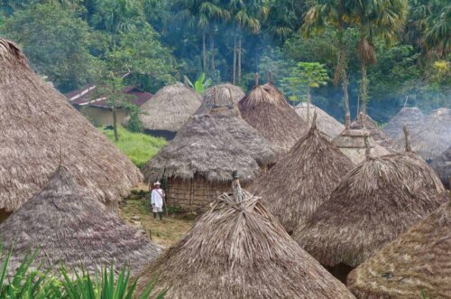 Kogi Tungueka tribal village tour