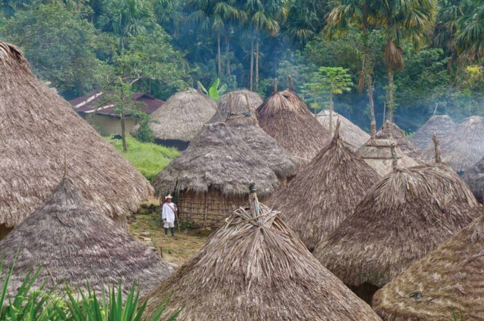 Kogi Tungueka tribal village tour