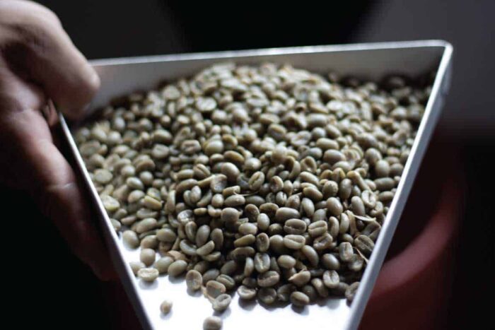 hacienda-coloma-secondary-image-13 Hacienda Coloma coffee tours