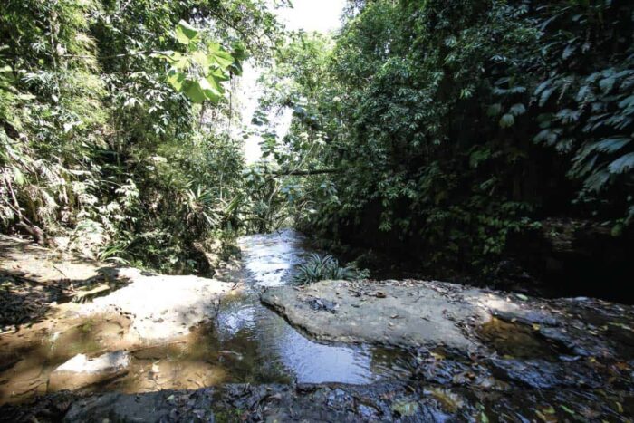 juan-curi-secondary-image-10 Juan Curí waterfalls half day tour