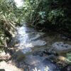 juan-curi-secondary-image-12 Juan Curí waterfalls half day tour