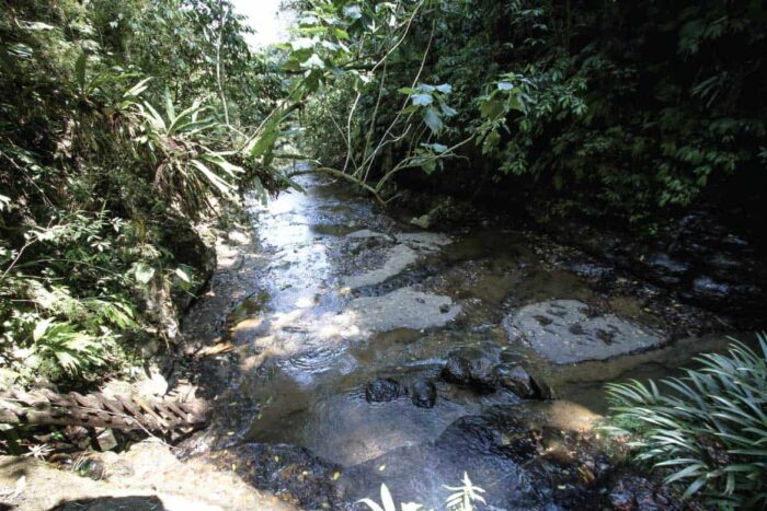juan-curi-secondary-image-12 Juan Curí waterfalls half day tour