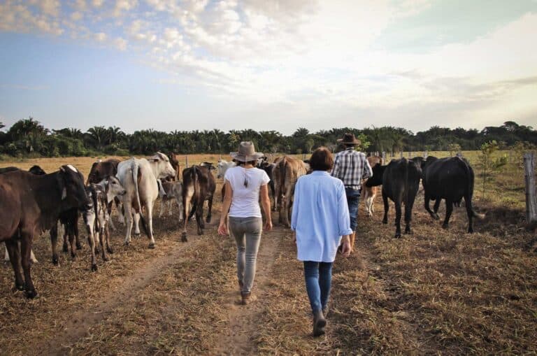 Los Llanos Colombia