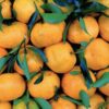 Cartagena street food tour
