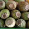 Cartagena street food tour