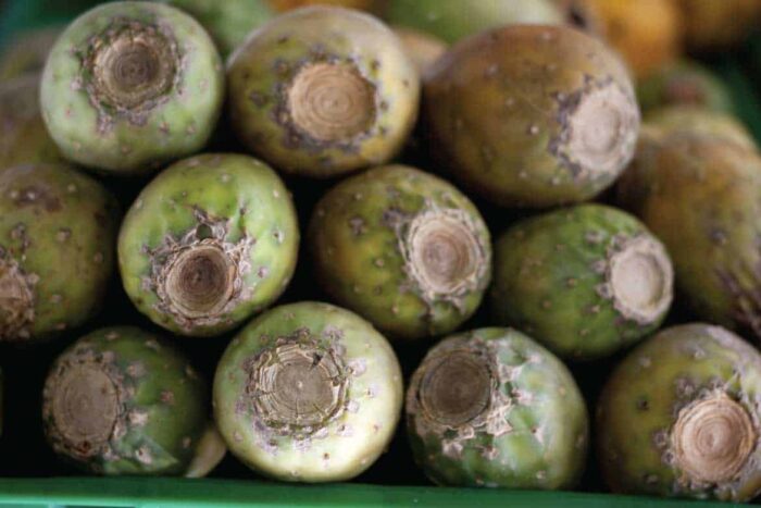 Cartagena street food tour