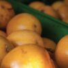 Cartagena street food tour