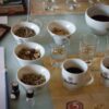 San Alberto Bogotá coffee tasting