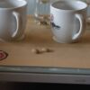 San Alberto Bogotá coffee tasting
